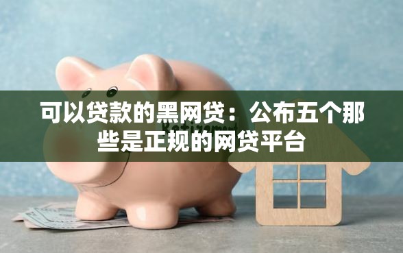 可以贷款的黑网贷：公布五个那些是正规的网贷平台