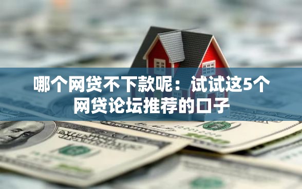 哪个网贷不下款呢：试试这5个网贷论坛推荐的口子