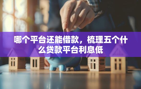 哪个平台还能借款，梳理五个什么贷款平台利息低