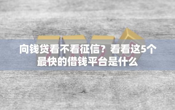 向钱贷看不看征信？看看这5个最快的借钱平台是什么