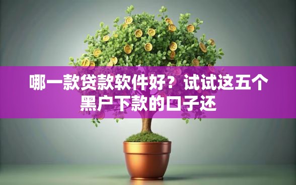 哪一款贷款软件好？试试这五个黑户下款的口子还