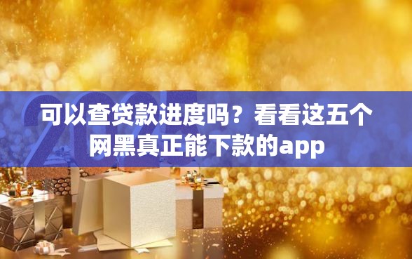 可以查贷款进度吗？看看这五个网黑真正能下款的app
