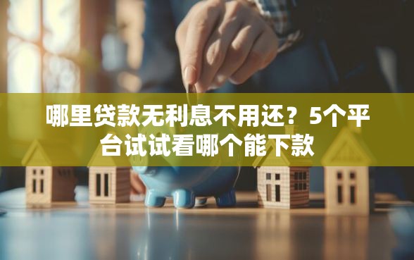 哪里贷款无利息不用还？5个平台试试看哪个能下款