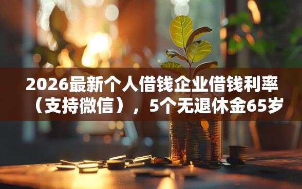 2026最新个人借钱企业借钱利率（支持微信），5个无退休金65岁老人贷款平台无私分享