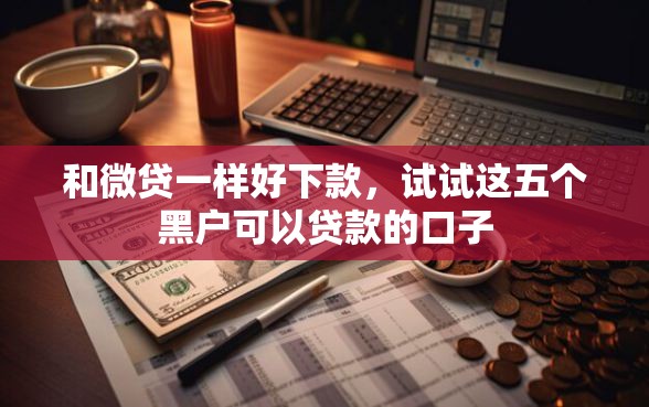 和微贷一样好下款，试试这五个黑户可以贷款的口子