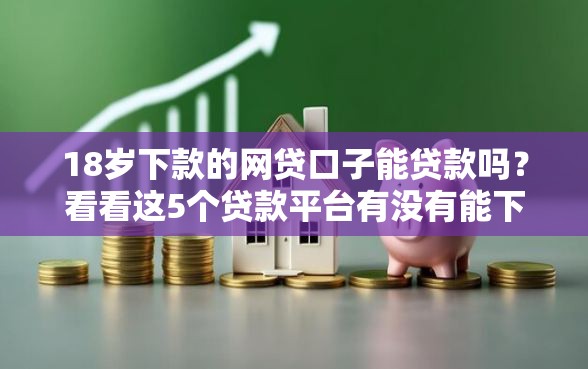 18岁下款的网贷口子能贷款吗？看看这5个贷款平台有没有能下款的