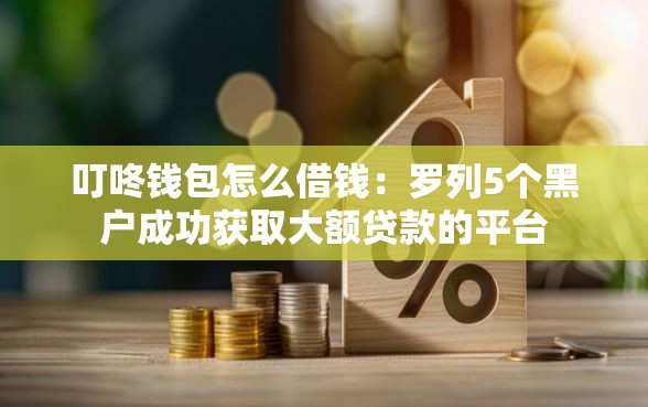 叮咚钱包怎么借钱：罗列5个黑户成功获取大额贷款的平台