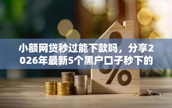 小额网贷秒过能下款吗，分享2026年最新5个黑户口子秒下的