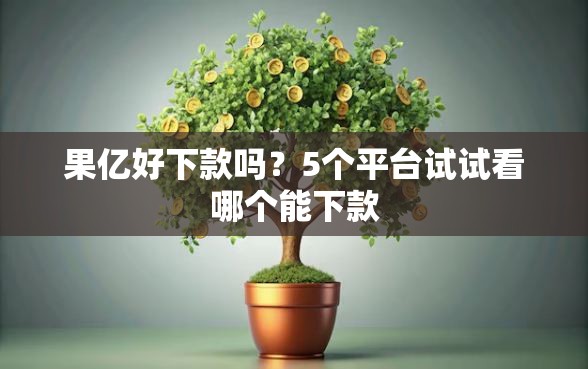 果亿好下款吗？5个平台试试看哪个能下款