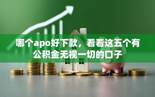 哪个apo好下款，看看这五个有公积金无视一切的口子