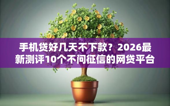 手机贷好几天不下款？2026最新测评10个不问征信的网贷平台