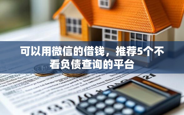 可以用微信的借钱，推荐5个不看负债查询的平台