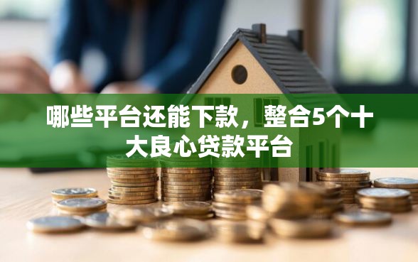 哪些平台还能下款，整合5个十大良心贷款平台