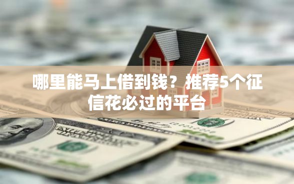 哪里能马上借到钱？推荐5个征信花必过的平台