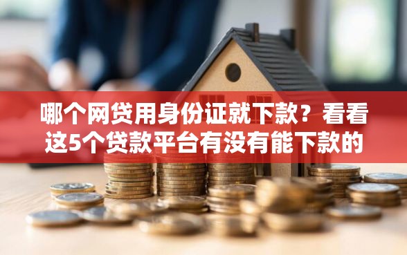 哪个网贷用身份证就下款？看看这5个贷款平台有没有能下款的