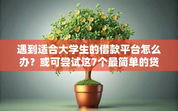 遇到适合大学生的借款平台怎么办？或可尝试这7个最简单的贷款平台