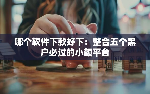 哪个软件下款好下：整合五个黑户必过的小额平台