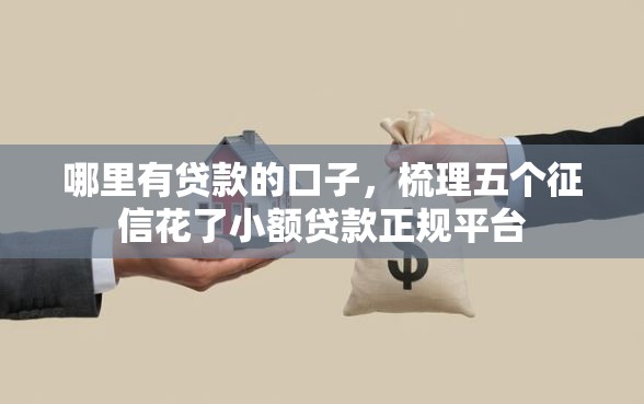 哪里有贷款的口子，梳理五个征信花了小额贷款正规平台