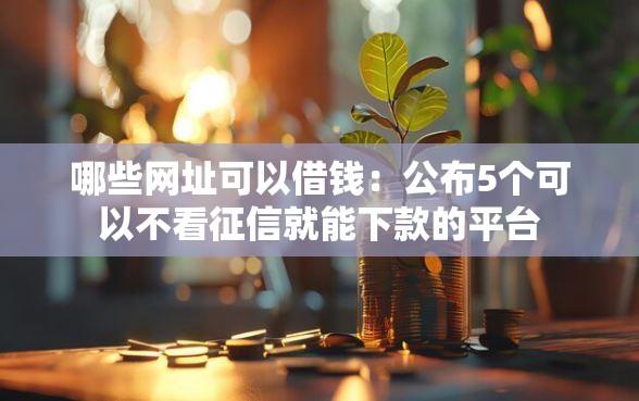 哪些网址可以借钱：公布5个可以不看征信就能下款的平台