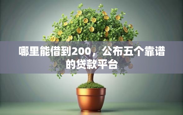 哪里能借到200，公布五个靠谱的贷款平台