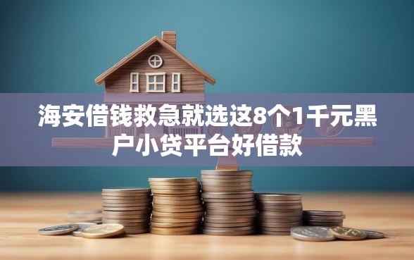 海安借钱救急就选这8个1千元黑户小贷平台好借款