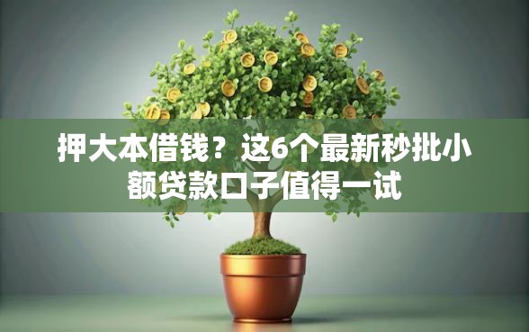 押大本借钱？这6个最新秒批小额贷款口子值得一试