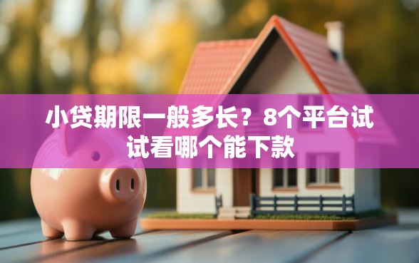 小贷期限一般多长？8个平台试试看哪个能下款