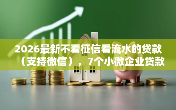 2026最新不看征信看流水的贷款（支持微信），7个小微企业贷款平台无私分享