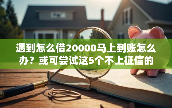 遇到怎么借20000马上到账怎么办？或可尝试这5个不上征信的黑口子