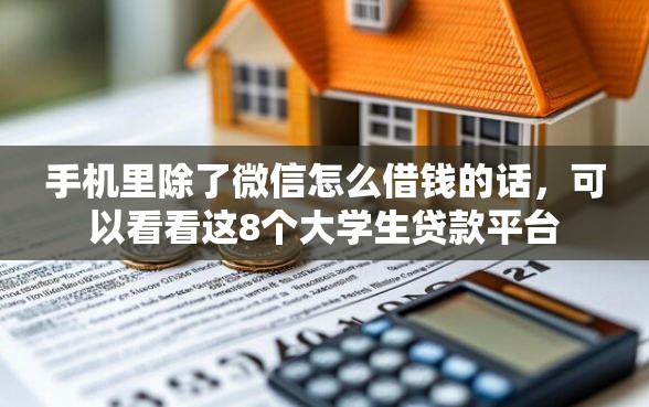 手机里除了微信怎么借钱的话，可以看看这8个大学生贷款平台