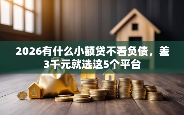 2026有什么小额贷不看负债，差3千元就选这5个平台