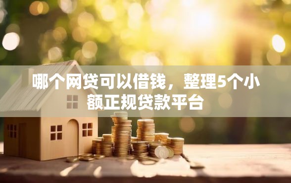 哪个网贷可以借钱，整理5个小额正规贷款平台
