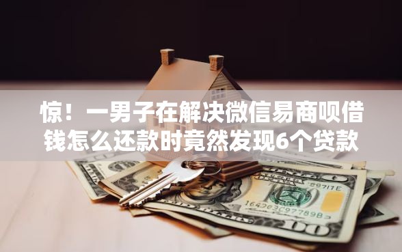 惊！一男子在解决微信易商呗借钱怎么还款时竟然发现6个贷款利息最低的平台，事后分享了出来