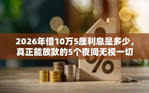 2026年借10万5厘利息是多少，真正能放款的5个夜间无视一切秒下款的高炮口子推荐
