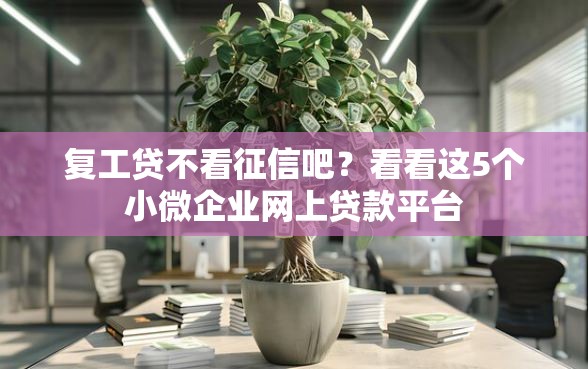 复工贷不看征信吧？看看这5个小微企业网上贷款平台