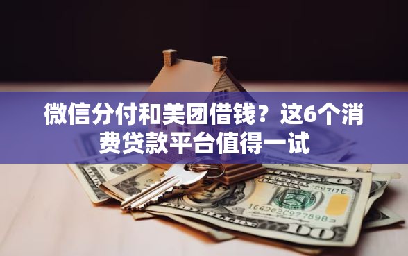 微信分付和美团借钱？这6个消费贷款平台值得一试