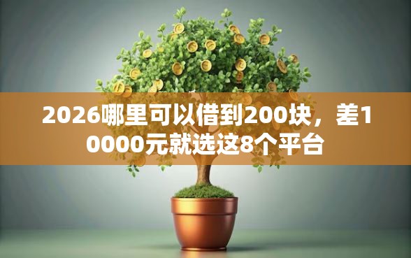 2026哪里可以借到200块，差10000元就选这8个平台