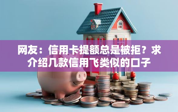 网友：信用卡提额总是被拒？求介绍几款信用飞类似的口子