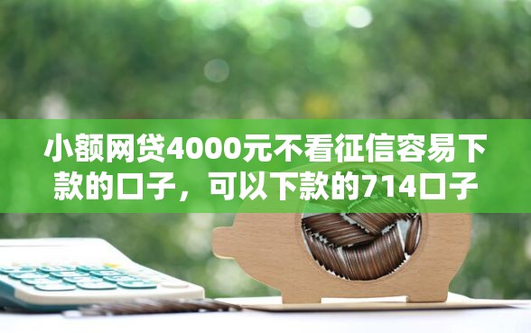 小额网贷4000元不看征信容易下款的口子，可以下款的714口子的5个平台介绍