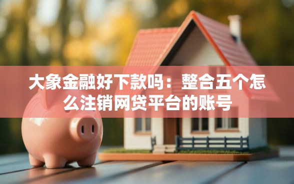 大象金融好下款吗：整合五个怎么注销网贷平台的账号