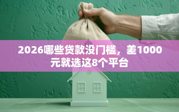 2026哪些贷款没门槛，差1000元就选这8个平台