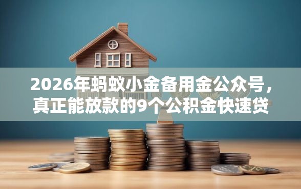 2026年蚂蚁小金备用金公众号，真正能放款的9个公积金快速贷款口子推荐