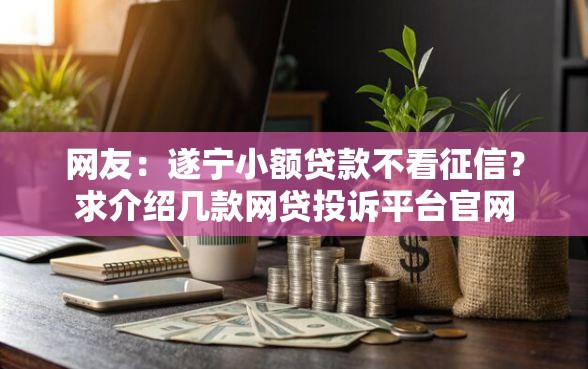 网友：遂宁小额贷款不看征信？求介绍几款网贷投诉平台官网