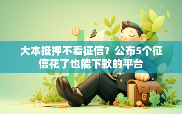 大本抵押不看征信？公布5个征信花了也能下款的平台