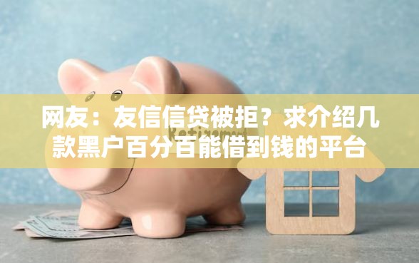 网友：友信信贷被拒？求介绍几款黑户百分百能借到钱的平台