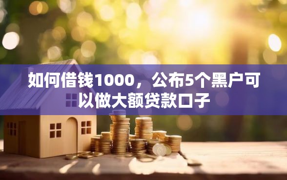 如何借钱1000，公布5个黑户可以做大额贷款口子