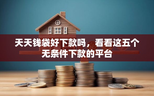 天天钱袋好下款吗，看看这五个无条件下款的平台