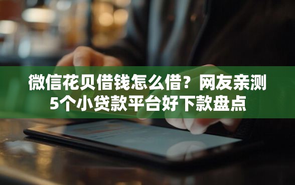 微信花贝借钱怎么借？网友亲测5个小贷款平台好下款盘点