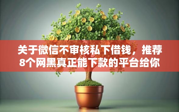 关于微信不审核私下借钱，推荐8个网黑真正能下款的平台给你