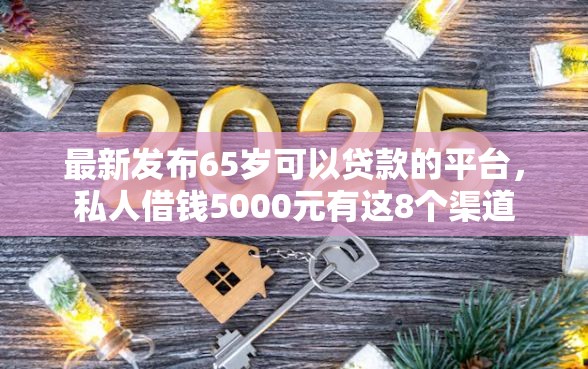 最新发布65岁可以贷款的平台，私人借钱5000元有这8个渠道